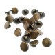 10 mm - 16 size Metal Foot Button E 1438